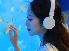 -合肥海洋世界