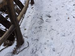 -青峰峡国家森林公园