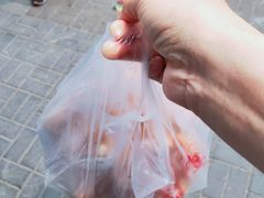 -白纸坊美式炸鸡