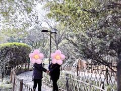 -川沙古镇-停车场