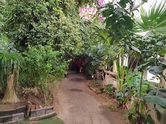 -呀路古热带植物园