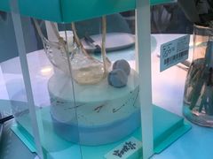 -第戎蛋糕(恒隆广场店)