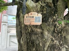 -荆州博物馆