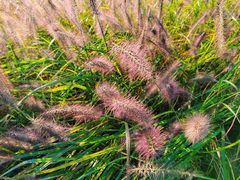 -汉长安城未央宫国家考古遗址公园