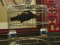 -五悦北平四季涮肉·烧烤(老商埠店)