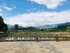 -福建土楼（华安）旅游区•大地土楼群