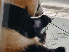 -杭州野生动物世界