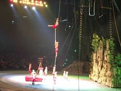 -广州长隆国际大马戏