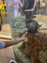 -Zoolung Zoolung动物主题公园(海信广场店)