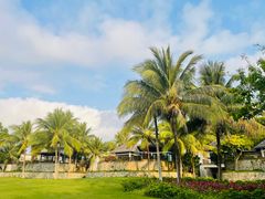 -海南清水湾莱佛士酒店