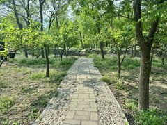 -阳台山自然风景区