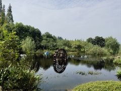 -长田漾湿地公园