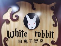 -白兔子密室(长寿路店)