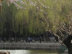 -团结湖公园