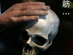 密讯馆密室逃脱mixunguan.com(环球港旗舰店)-密讯馆密室逃脱&换装侦探剧(环球港旗舰店)