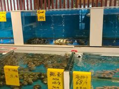 -北塘海鲜·天津菜(大光明桥旗舰店)