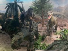 -国家自然博物馆