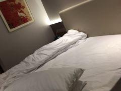 -深圳国际会展中心希尔顿酒店(前海华发冰雪世界店)