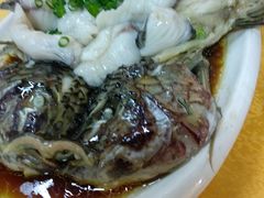 -鸽王世家(东华东路店)
