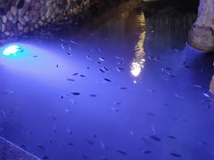 -宝丽金大酒店·洗浴中心