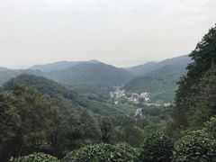 -龙井村