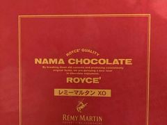 -关西国际机场直营免税店