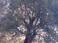 -艾溪湖湿地公园