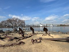 -台场海滨公园船码头