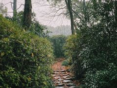 -中国茶叶博物馆(双峰馆区)