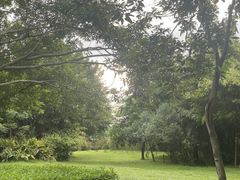 -深圳湾公园(南山区)