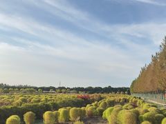 -嘉北郊野公园