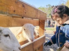 -HERRE·FARM 赫尔露营农场·团建聚会包场