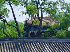 -北京国子监胡同
