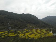 -四明山国家森林公园