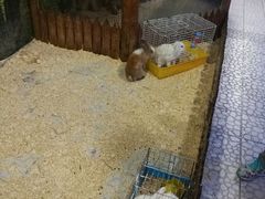 -上海大自然野生昆虫馆(东方明珠·爬宠昆虫探索中心)