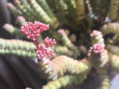 -严记小天府酸菜鱼(西四路店)