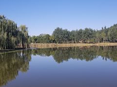 -东郊湿地公园