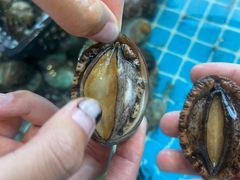 -渡海小渔村.老辈日照菜