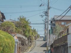 -奈良公园