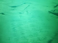-白鹤梁水下博物馆