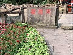 -青城山