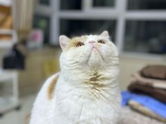 -哈尔滨北方森林动物园