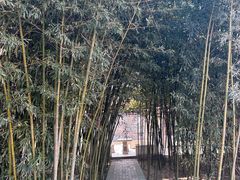 -古车博物馆