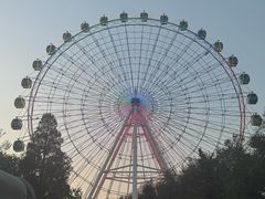 -青城公园