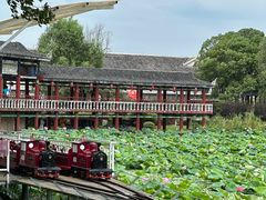 -洪湖生态旅游区