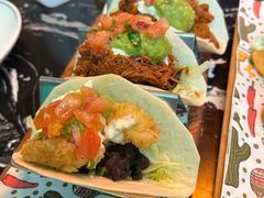 -Famous肥猫墨西哥音乐餐吧(五棵松华熙LIVE店)