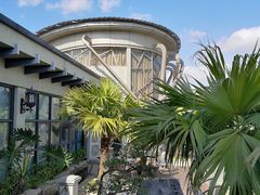 -云顶咖啡厅·中西餐(天诚港店)