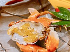 -旬怀石料理(嘉善老市店)