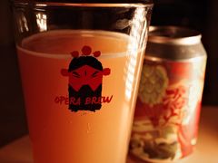 -Devils’ Brewery小恶魔精酿啤酒(武汉天地店)