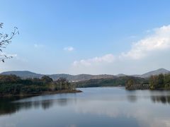 -佛手湖郊野公园